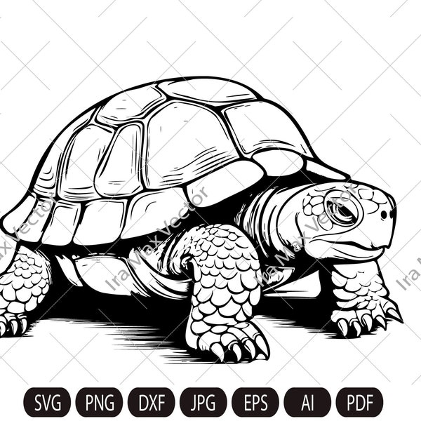 Tortoise SVG, Tortoise Clipart, Hand Drawn Tortoise Vector Illustration,Turtle svg,Turtle Head, Turtle vector, Turtle Silhouette,reptile svg