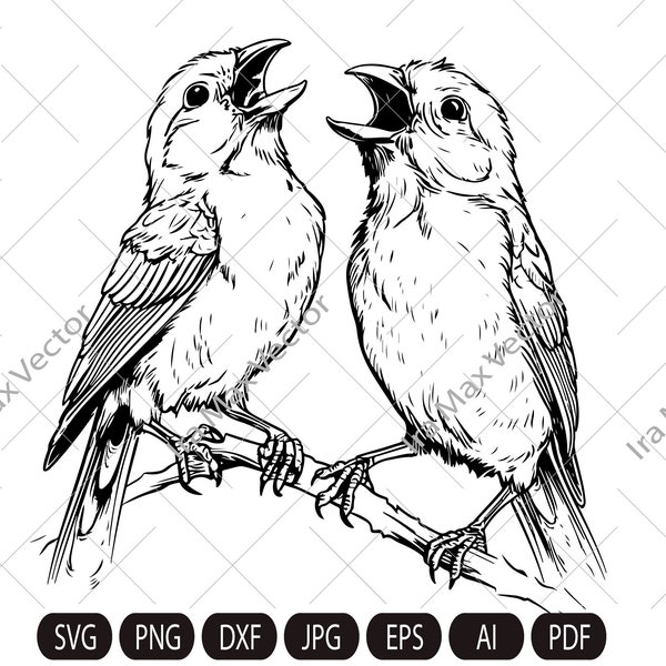 Canary SVG, Canary Bird Svg, Canaries singing svg, Pair of canaries, Canary Png, Canary Clipart, Canary Files