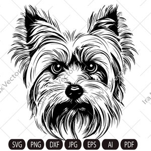 Yorkshire Dog svg, Yorkshire Terrier SVG, Yorkie face clipart, Dog svg ,Yorkshire Terrier Vector, Yorkshire Terrier Print Shirt,york