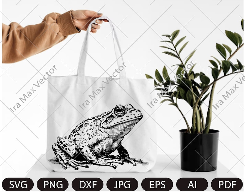 Frog Svg/Frog Clipart/Frog Png/Frog Head/Frog Details/Frog Silhouette/Animal image 2