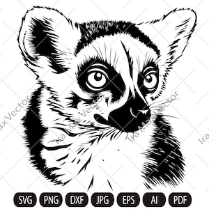 Lemur SVG, Lemur Clipart, Hand Drawn Lemur Vector Illustration, Lemur Engraving,Lemur head svg,Lemur face