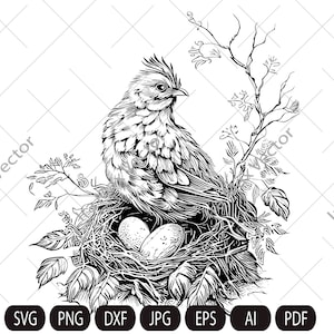 Hen Laying on Eggs in a Nest, Chicken Clipart, Farm birds, Bird in a nest, Instant Digital Download  ,Cut Files