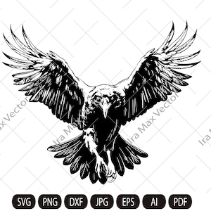 May include: A black and white illustration of a bird with its wings spread wide. The bird is in flight and its talons are extended.