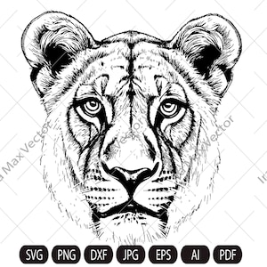Lioness Svg, Lioness Head SVG, Lion Face Svg, Wild Cat Svg, Lion Silhouette, Lioness Portrait Svg, Wild Lioness Svg, Lion Clipart