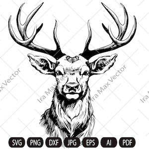 Könnte beinhalten: Schwarz-weiß-Linienzeichnung eines Hirschkopfes mit großen Geweih.
