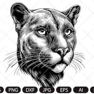 Panther face SVG, Panther Head Svg, Panther Svg,Panther Mascot SVG, Panther Dxf, Panther Png, Panther Clipart, Panther Files, Eps
