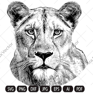 雌ライオンの頭 SVG、ライオンの顔 SVG、野生の猫 SVG、ライオンのシルエット、雌ライオンの肖像 SVG、野生の雌ライオン SVG、SVG カット ファイル、ライオンのクリップアート