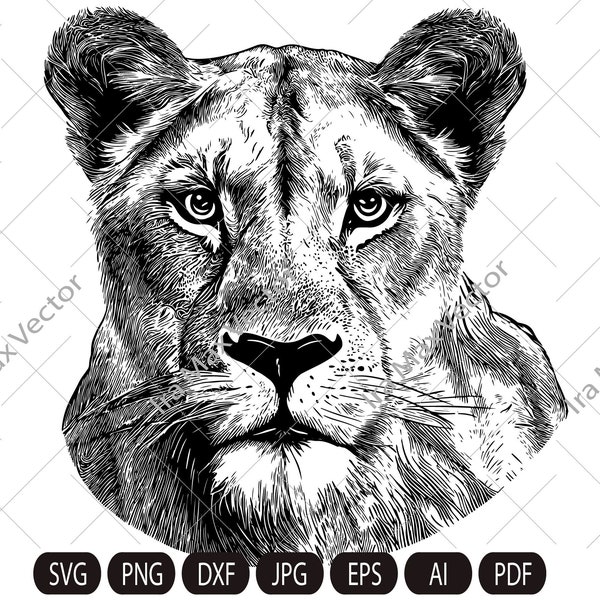 Lioness head SVG, Lion face Svg, Wild cat Svg, Lion silhouette, Lioness portrait Svg, wild Lioness Svg, Svg cut file, Lion clipart