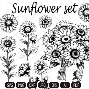 Sonnenblume SVG-Dateien: Floral Cut File Set (Digitaler Download)