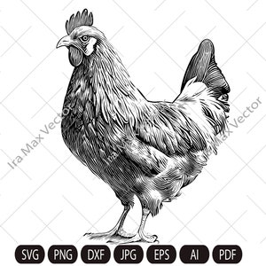 Fazenda SVG, Fazenda Galinha SVG, Galinha Vetor, Galinha Pássaro, Animal De Fazenda Esboço Vintage, Clipart. Ilustração Digital