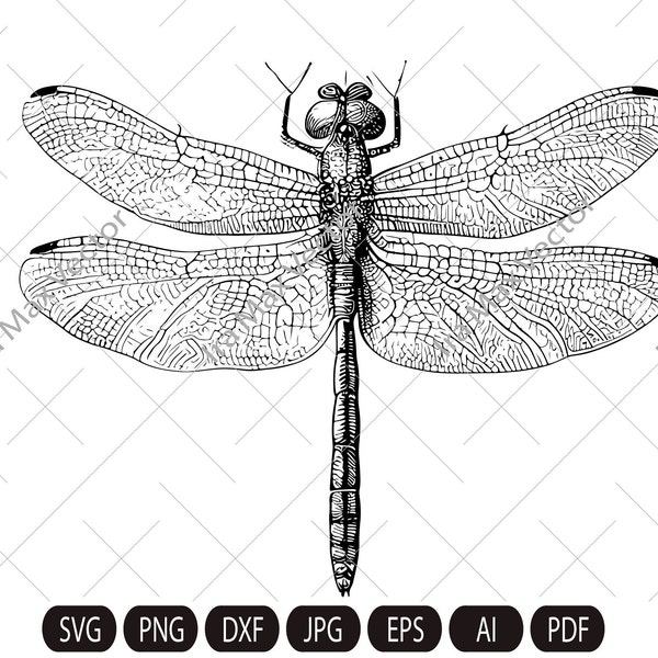 DRAGONFLY SVG, DRAGONFLY подробно, Dragonfly Svg Cut Files, Dragonfly Clipart, Svg insect