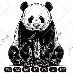 Panda Svg, Panda Clipart, Panda Png, Panda sitting, Panda face svg, Panda Silhouette, Animals Silhouette