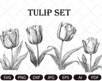 Tulip set SVG,Tulips Flower ,Tulip Vector Drawing , Tulip cut file, Tulip Art Clipart Digital Download