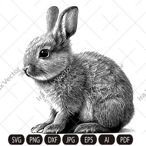 Rabbit SVG, Bunny detailed, Bunny monogram, easter, hunter svg, bunny cut files, peeking animal clipart, bunny Vector image, Printable art