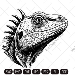 Cute lizard svg,lizard face svg,lizard head, iguana  face svg png, cute CHAMELEON SVG, Reptile Animals