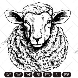 Cute Sheep, Sheep Face, Sheep Head, Sheep Clipart, Sheep Details, Sheep Printable, Farm Animals