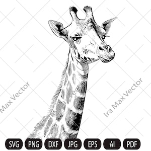 Giraffe SVG / Giraffe Mandala SVG / Druckdesign, Clipart, Aufkleber, Schablone, Vinyl, Schnittdatei, Silhouette, Aufbügeln, T-Shirt Design