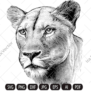 Lioness head SVG, Lioness Face svg, Lion face Svg, Wild cat Svg, Lion silhouette, Lioness portrait