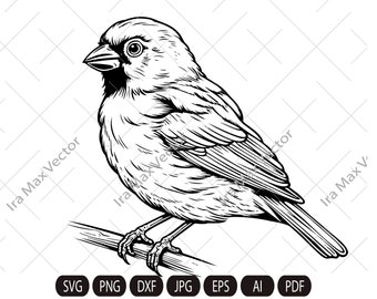 Canary SVG, Canary Bird Svg, Canary, Canary Png, Canary Clipart, Canary Files