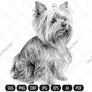 Yorkshire Dog svg, Yorkshire Terrier SVG, Yorkie face clipart, Dog svg detailed,Yorkshire Terrier Vector, Yorkshire Terrier Print Shirt,york