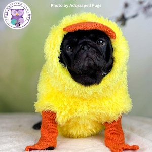 Doggie Diva Duckling Crochet Pattern for any size dog
