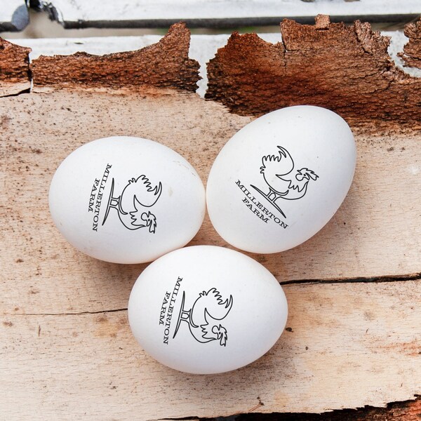 Egg Date Stamp Etsy