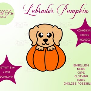 Può includere: Illustrazione digitale di un cane Labrador dentro una zucca arancione. L'immagine include il testo "Labrador Pumpkin", "Download istantaneo SVG & PNG" e "Licenza commerciale inclusa". Altri testi: tazze, vestiti, borse.