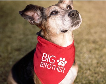 Big Brother Dog Bandana PNG, Big Sister Dog Bandana PNG, Baby Announcement Png, Big Bother Announcement Png, PNG Designs, Digital Designs