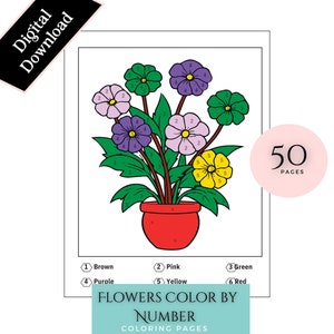 Color by Number Pages Adult, Color by Number Flower, Color by Number PDF, Printable Color by Number for Adults, Relaxing Coloring Pages