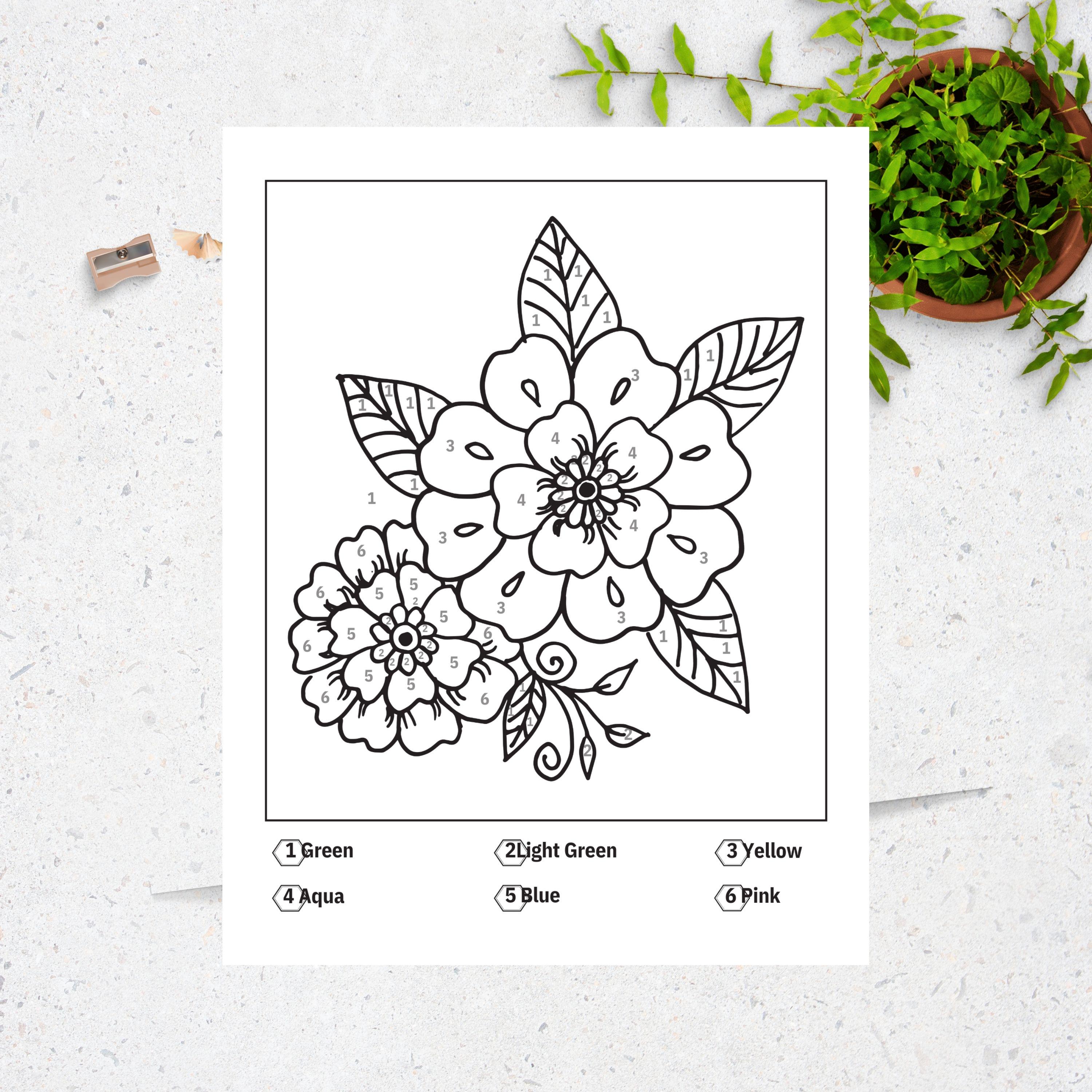 Flower Color by Number Pages: 50 Printable Adult Coloring Sheets (PDF ...
