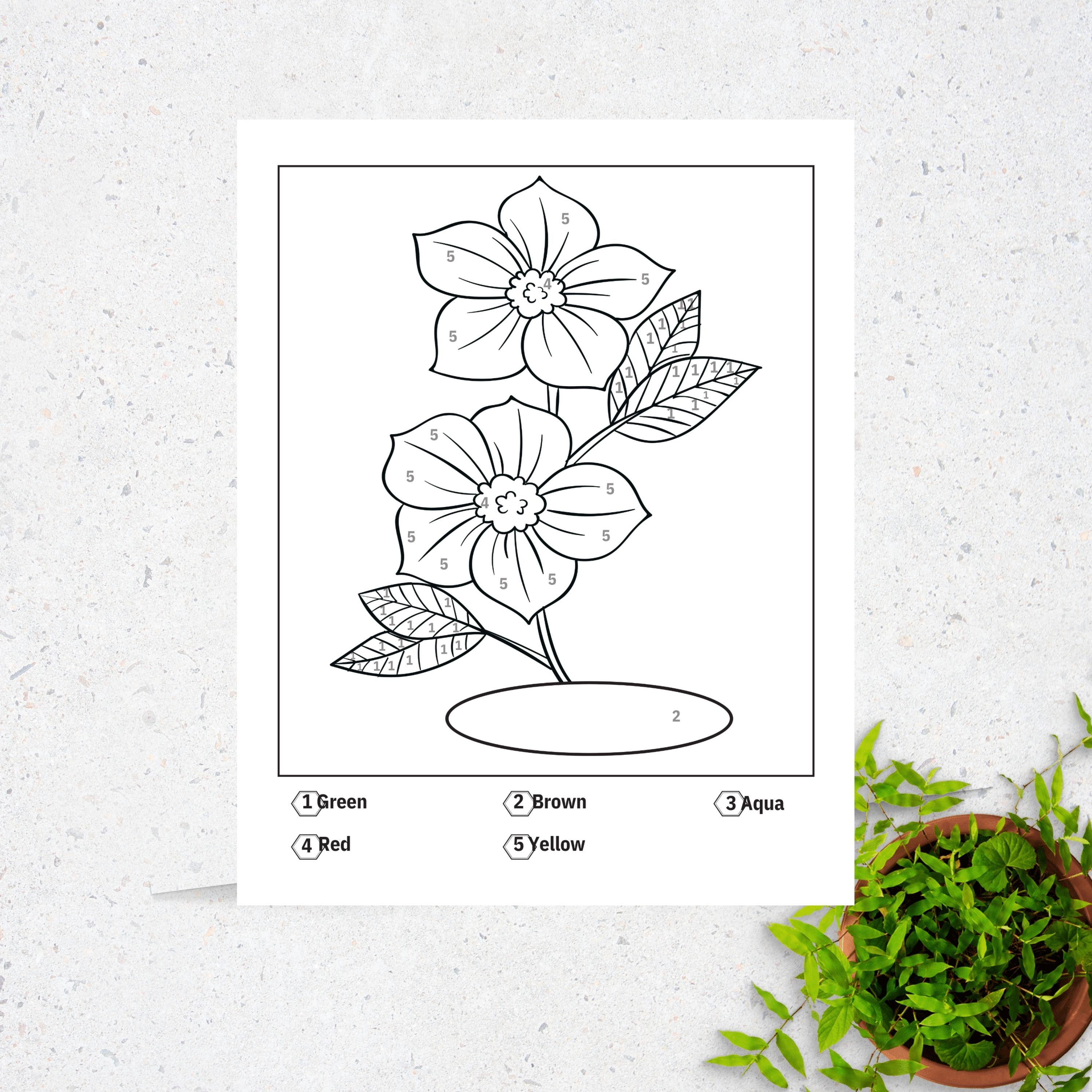 Flower Color by Number Pages: 50 Printable Adult Coloring Sheets (PDF ...