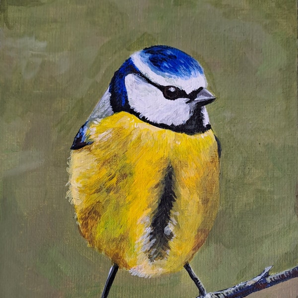 Bluetit original acrylic painting by Becky Sherlock