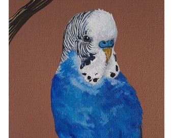 Blue Budgie acrylic wall art print A5 / original. Budgie on a branch Christmas gift.