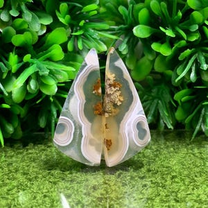 Paires d'agate mousse pittoresque