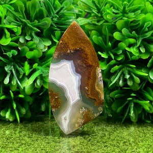 May include: A teardrop-shaped agate cabochon with brown, white, and green banding. The agate has a polished surface and is set against a green background.