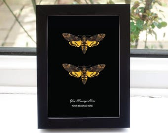 Pareja de esfinges africanos de la calavera enmarcados: patrón de calavera, regalo de 8x10 pulgadas