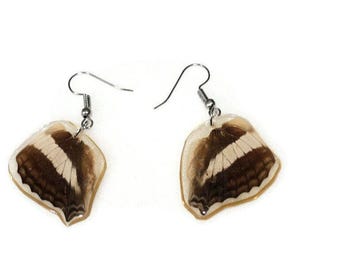 Two sides real butterfly wings earrings