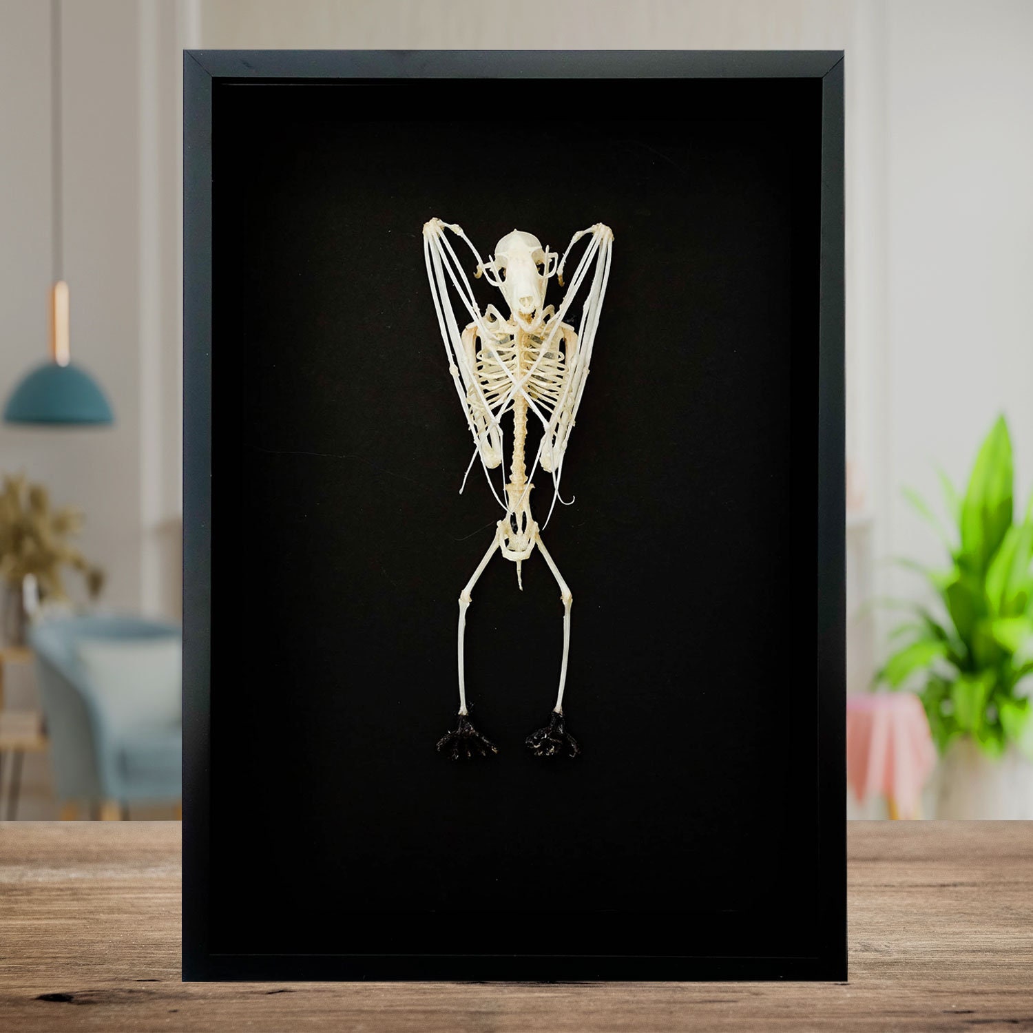 Skelett Fledermaus für Halloween kaufen » Kostümpalast