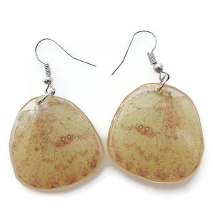 Pendientes de alas beige ovaladas de mariposa real, resina de alas de mariposa