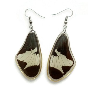 Real Butterfly Wing Earrings: Resin Coated, Hypoallergenic Hook