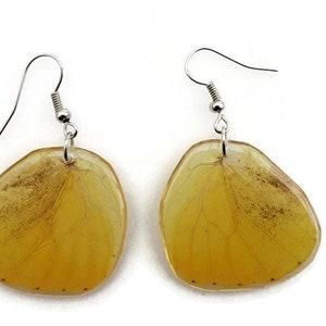 Pendientes de alas reales de color amarillo brillante, trabajo de resina de alas de mariposa