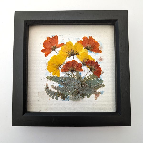 Pressed leaves and flowers, yellow and orange display, botanical arrangement, wall decor, dried leaves, nature display, herbarium art