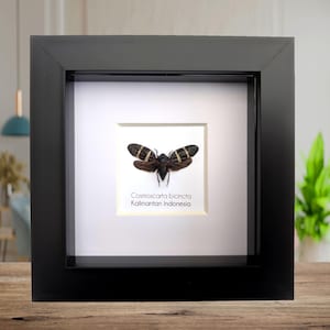 Op de afbeelding: Handgemaakte houten snijplank met een natuurlijke houtnerf afwerking. Voorzien van een sapgroef en een handvat. Afmetingen: ongeveer 45 cm lang, 30 cm breed en 2,5 cm dik.