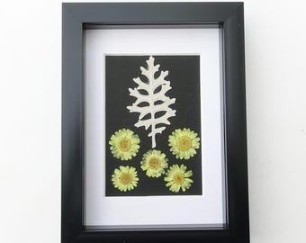 Fleurs séchées encadrées : décoration murale botanique florale jaune (8 x 5 po.)