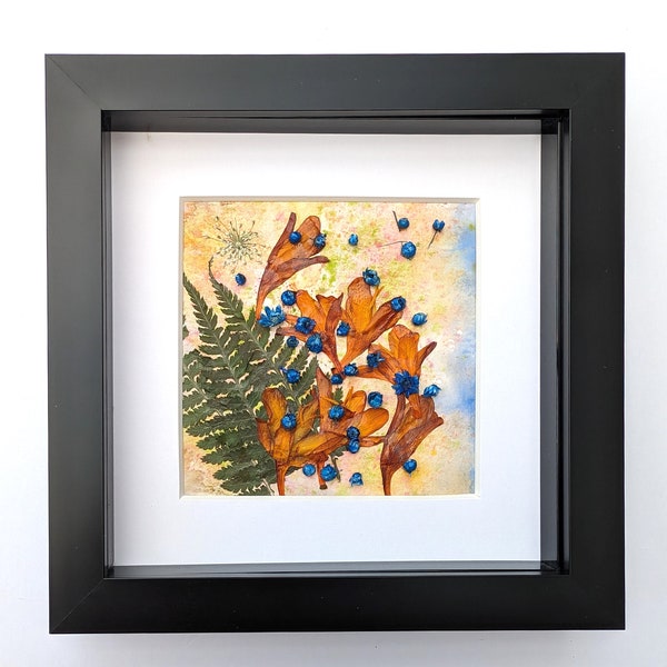 Pressed leaves and flowers, blue and orange display, botanical arrangement, wall decor, dried leaves, nature display, herbarium art