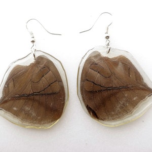 Pendientes de mariposa reales, resina de alas de Historis odius