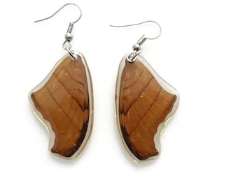 Real moth wing earrings: resin coated, hypoallergenic hook