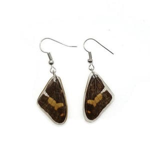 Pendientes de alas marrones pequeñas, pendientes de mariposa recubiertos de resina, dos lados diferentes