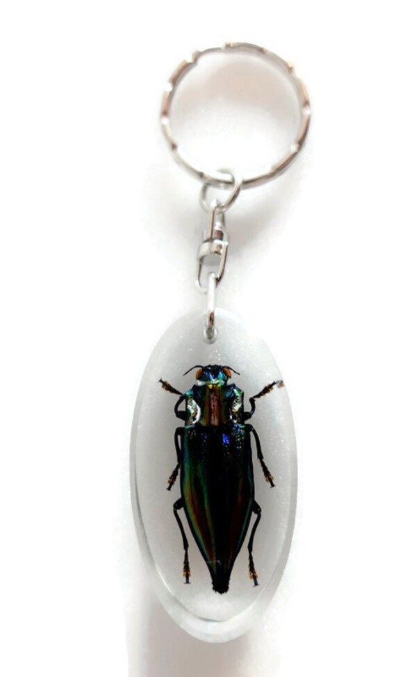 Beetle keychain deals