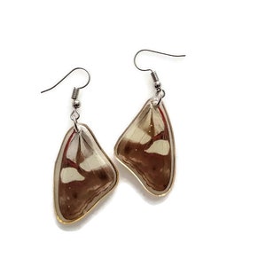 Pretty Two sided butterfly wings earrings